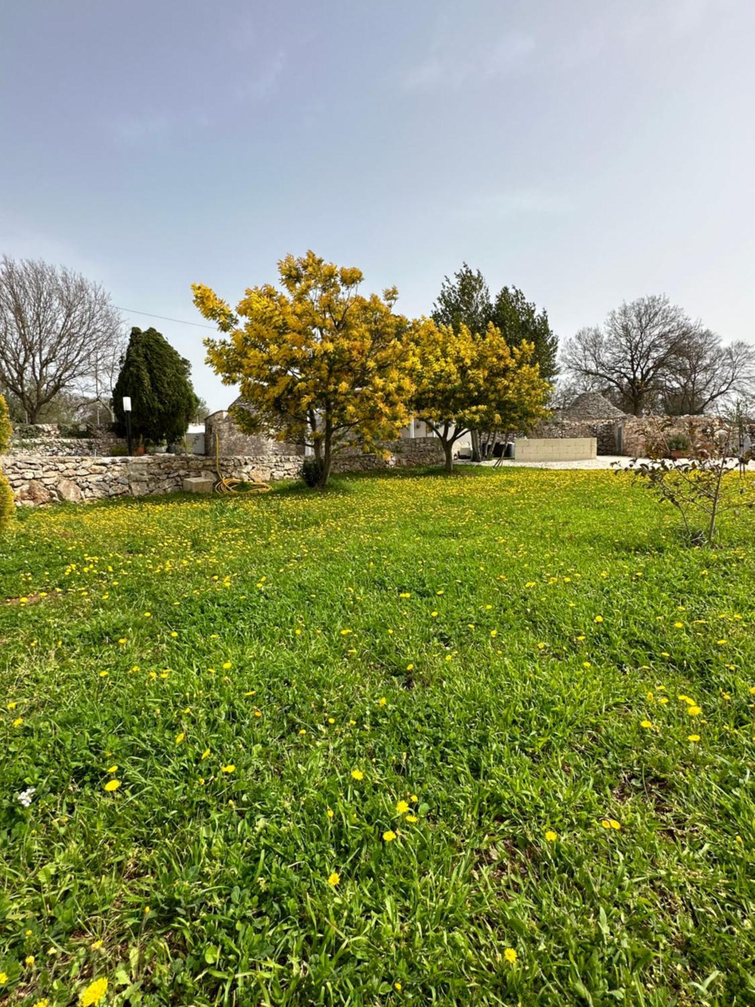 Trulli In Contrada Villa Noci Eksteriør bilde